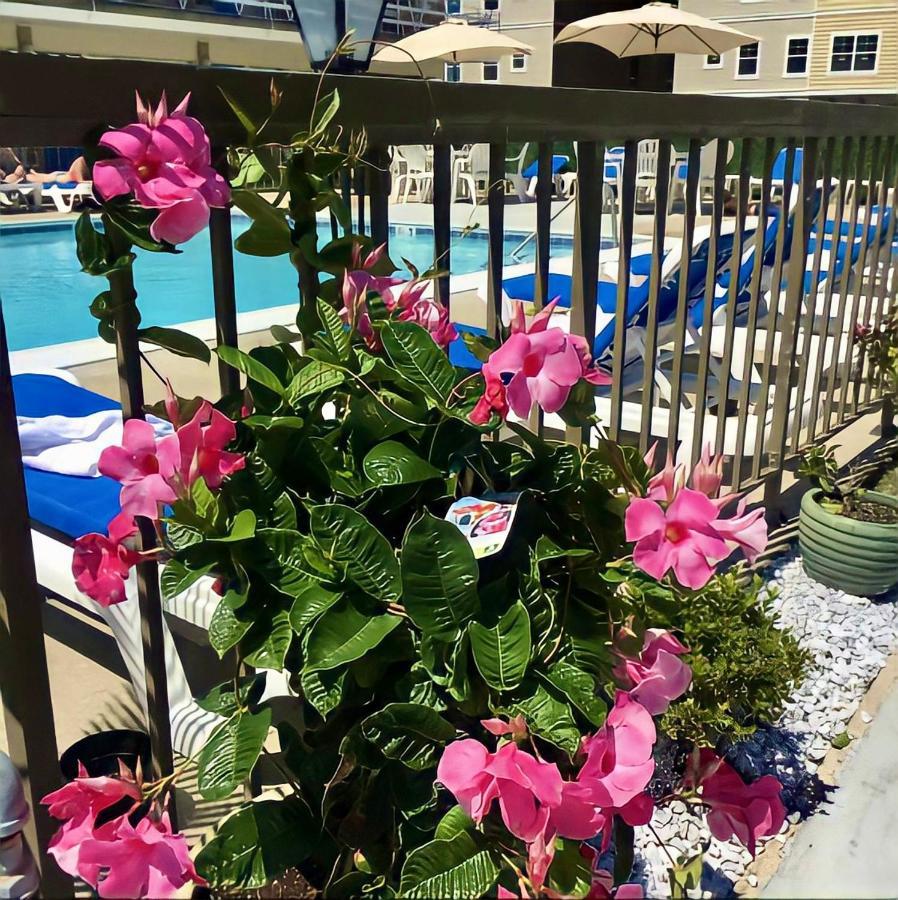 Beach Colony Motel Wildwood Crest Extérieur photo