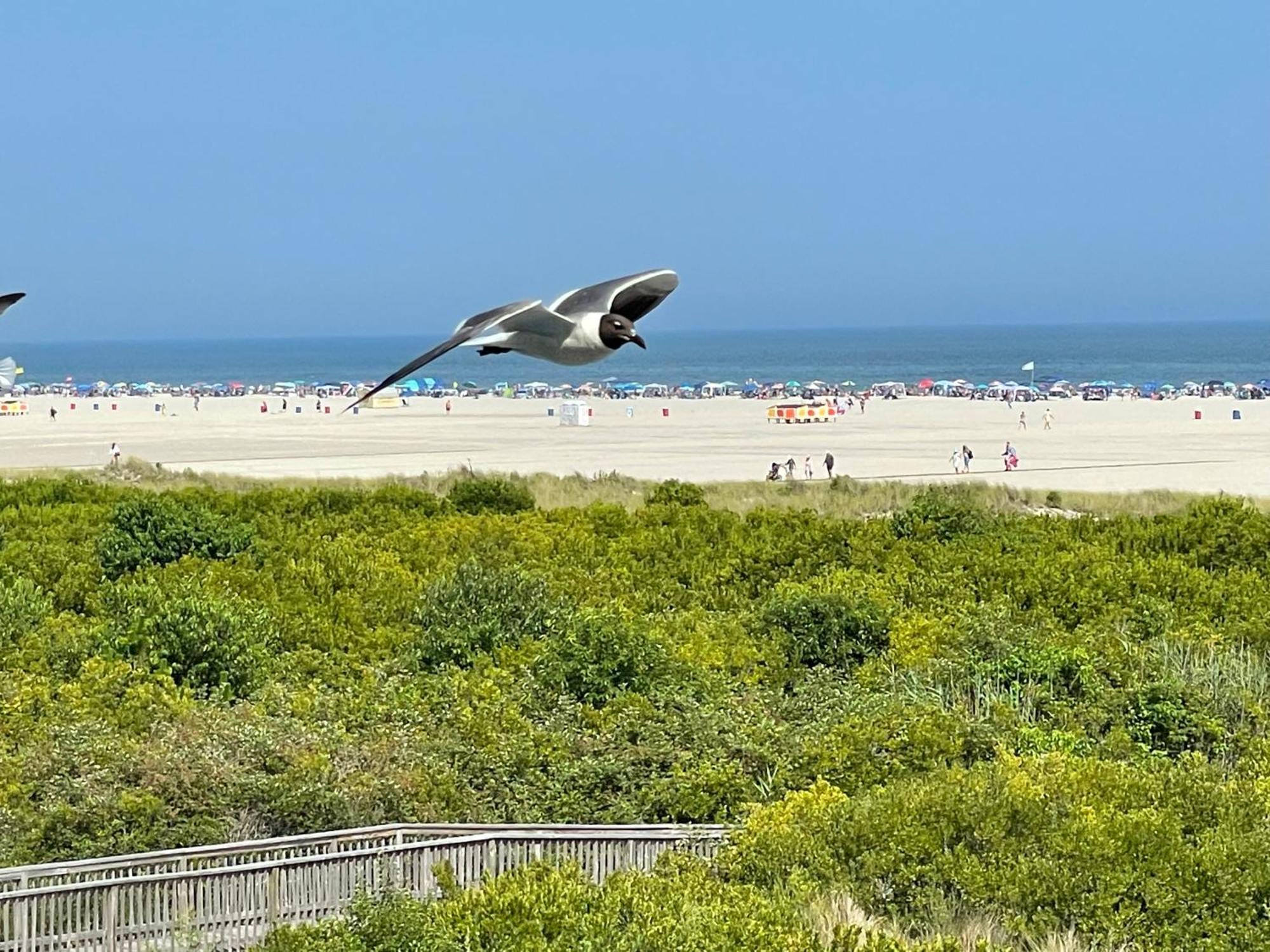 Beach Colony Motel Wildwood Crest Extérieur photo